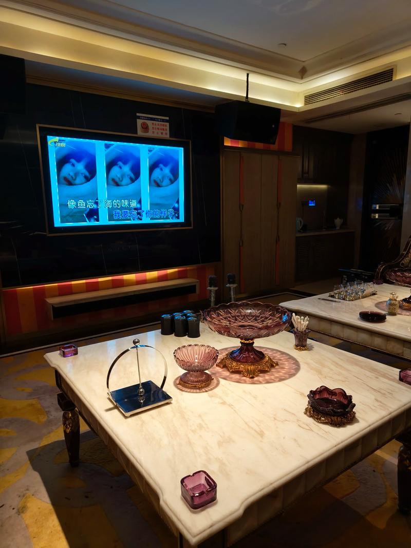 保定商务ktv夜场商务ktv宣传精选-曲阳县ktv预定